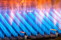 Criggan gas fired boilers